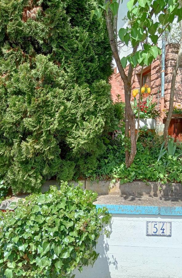 Apartamento Casa La Collina Delle Ginestre Eberbach  Exterior foto