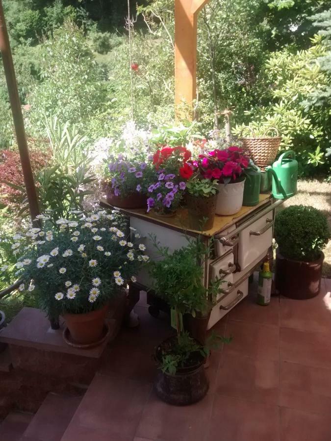 Apartamento Casa La Collina Delle Ginestre Eberbach  Exterior foto